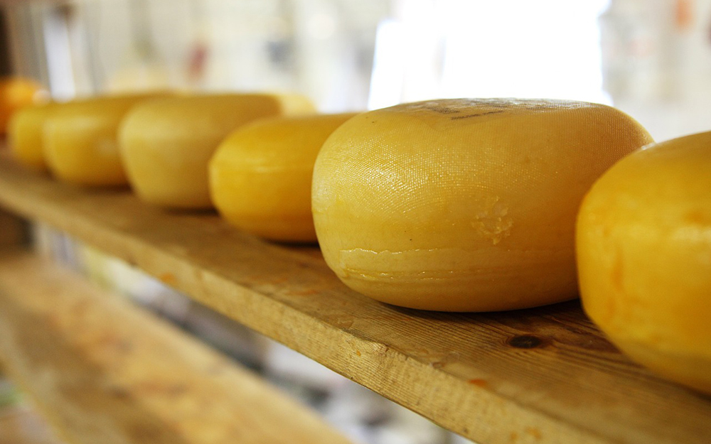 Брянский производитель сыров вошёл в нацпроект «Производительность труда»
