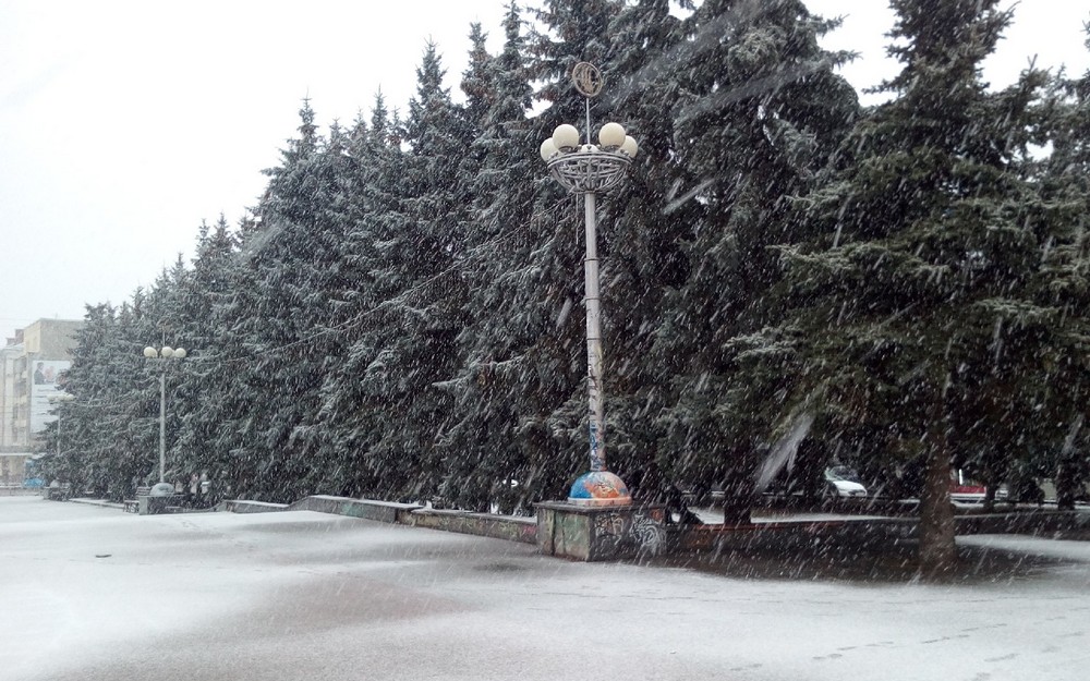 В Брянской области 11 февраля ожидается снег с дождем при 4 градусах тепла