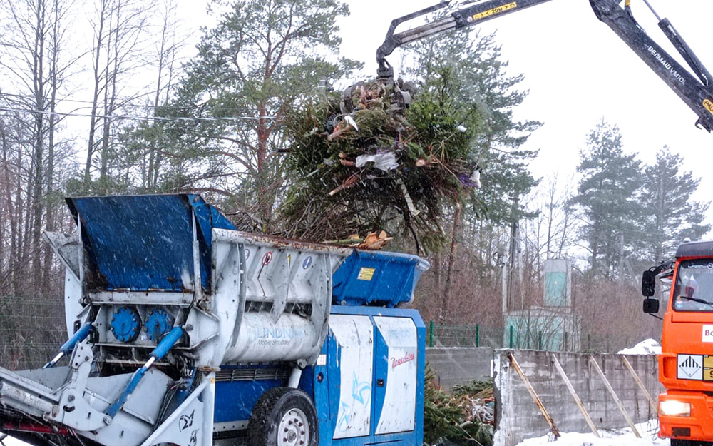 Более 5 тысяч новогодних деревьев переработали в Брянской области