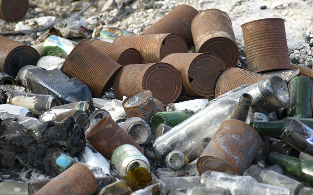 Брянская полиция пресекла 84 экологических преступления