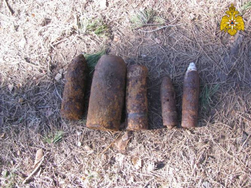 В лесу недалеко от Сельцо обнаружили авиабомбу и 4 артиллерийских снаряда