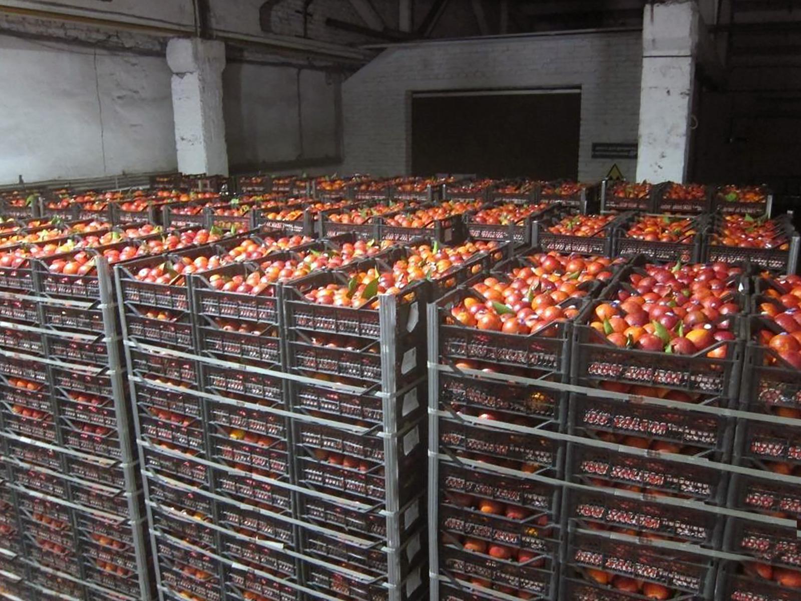 С 24 февраля через брянскую таможню провезли более 200 тонн фруктов и овощей