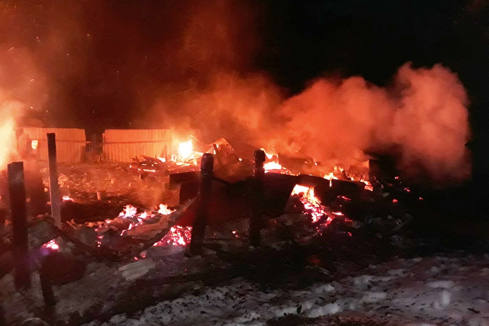 C начала года при пожарах в Брянской области погибли 29 человек