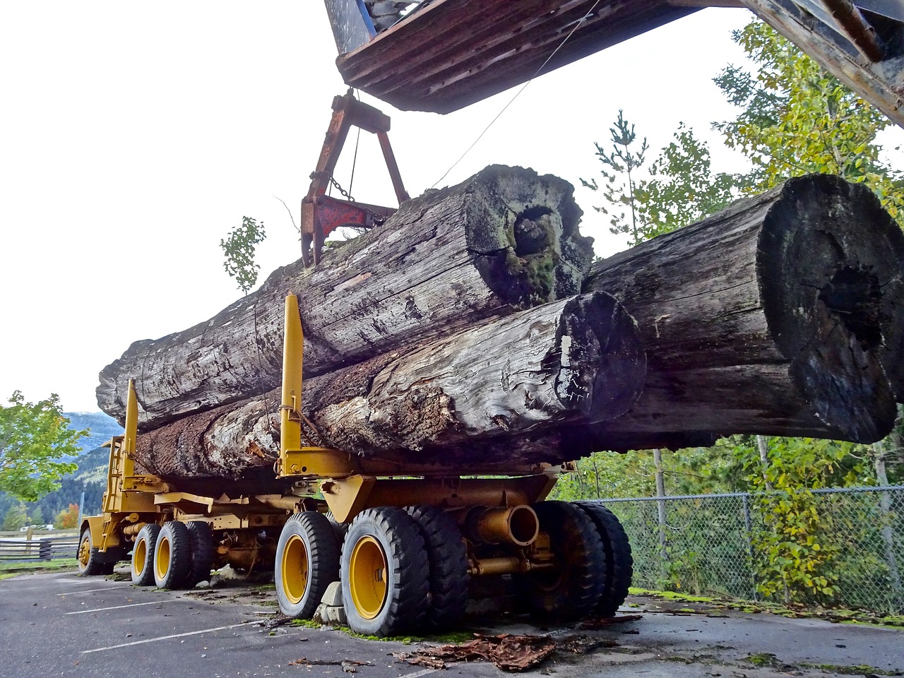 В Брянской области пресекли 23 незаконные перевозки древесины