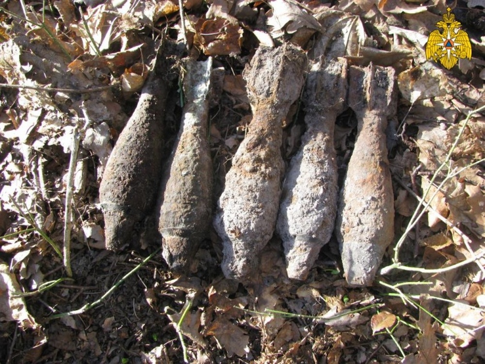В поле в Погарском районе Брянска нашли 5 минометных мин