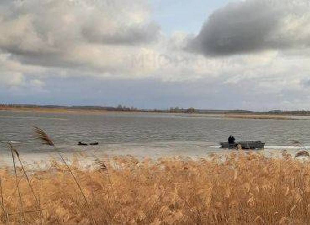 В Кожановском озере в Брянской области утонул мужчина
