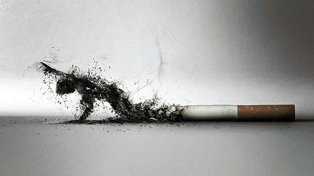 В Брянской области доля нелегального оборота табака стала больше 30 процентов