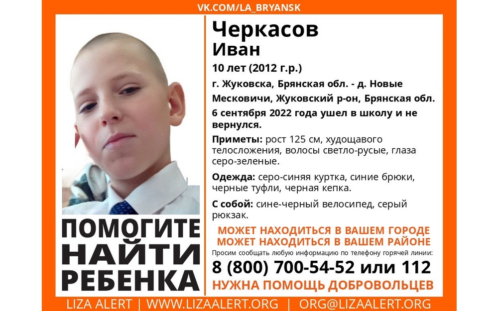 В Брянской области продолжаются поиски 10-летнего мальчика