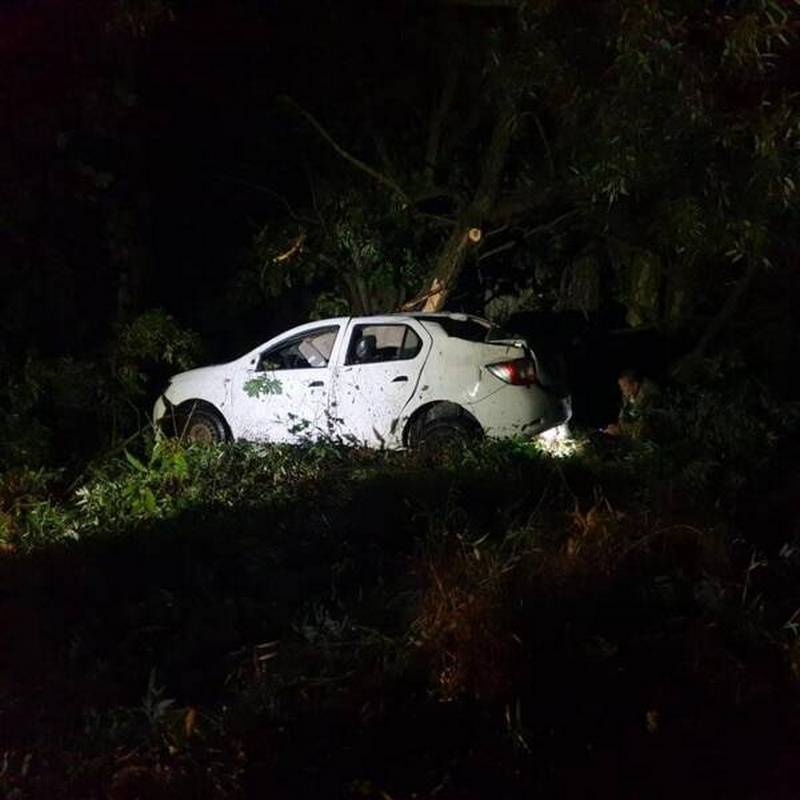 Под Брянском на трассе 40-летний водитель протаранил дерево и разбил голову