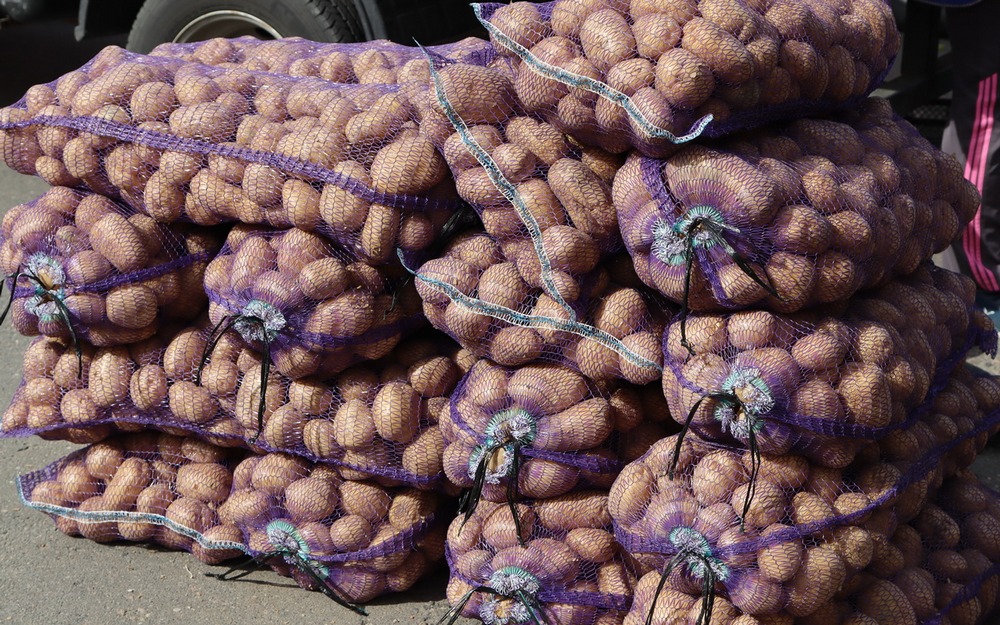 На ярмарке выходного дня 3 сентября в Брянске продали 21 тонну картофеля