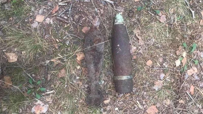 В Брянском районе обнаружили 2 артиллерийских снаряда