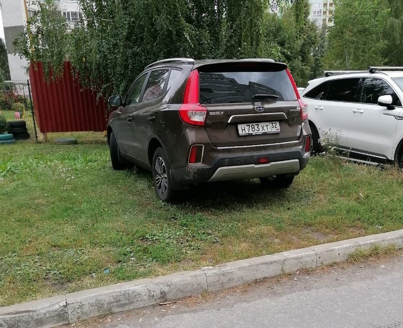 В Советском районе Брянска засняли мастера парковки