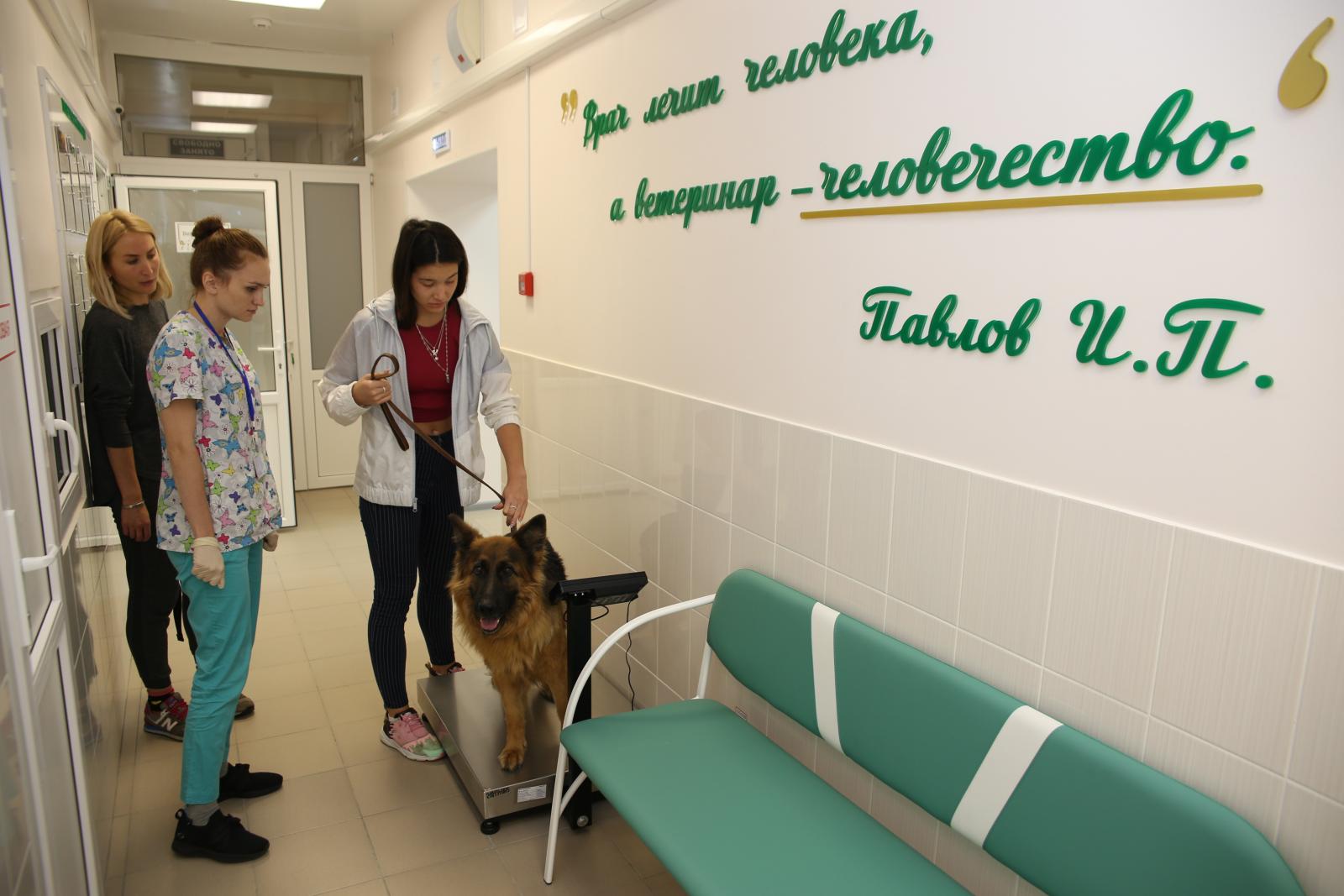 Брянский филиал ФГБУ «ВНИИЗЖ» поздравляет с Денем ветеринарного работника!