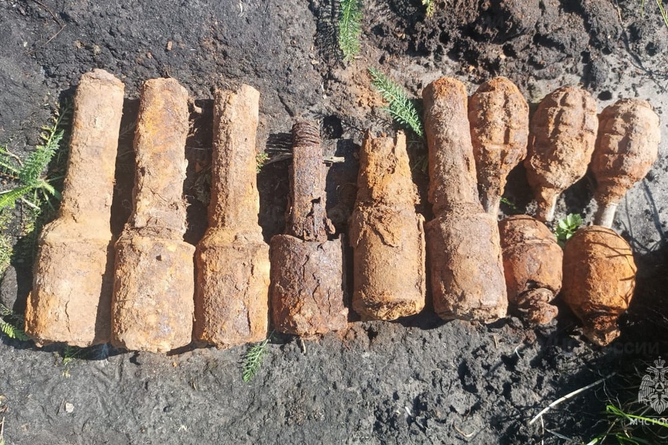 Под Брасовом обнаружили 11 изъеденных ржавчиной гранат