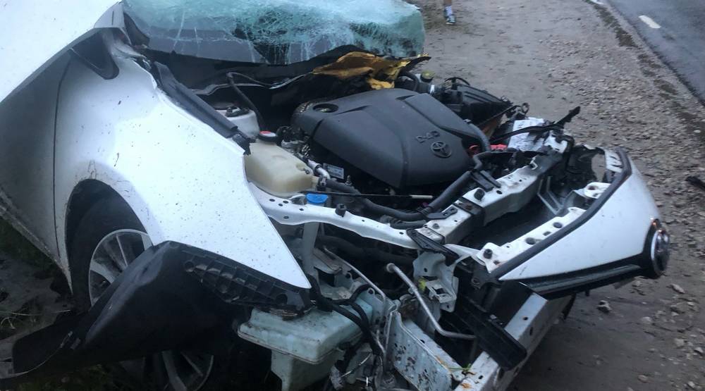 В ДТП возле Белых Берегов погиб водитель легковушки, ранены работники «Брянского картона»