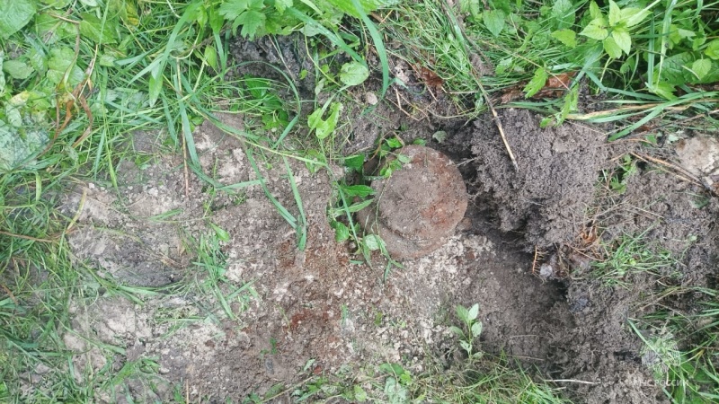 В Брянском районе саперы успешно обезвредили две обнаруженные мины