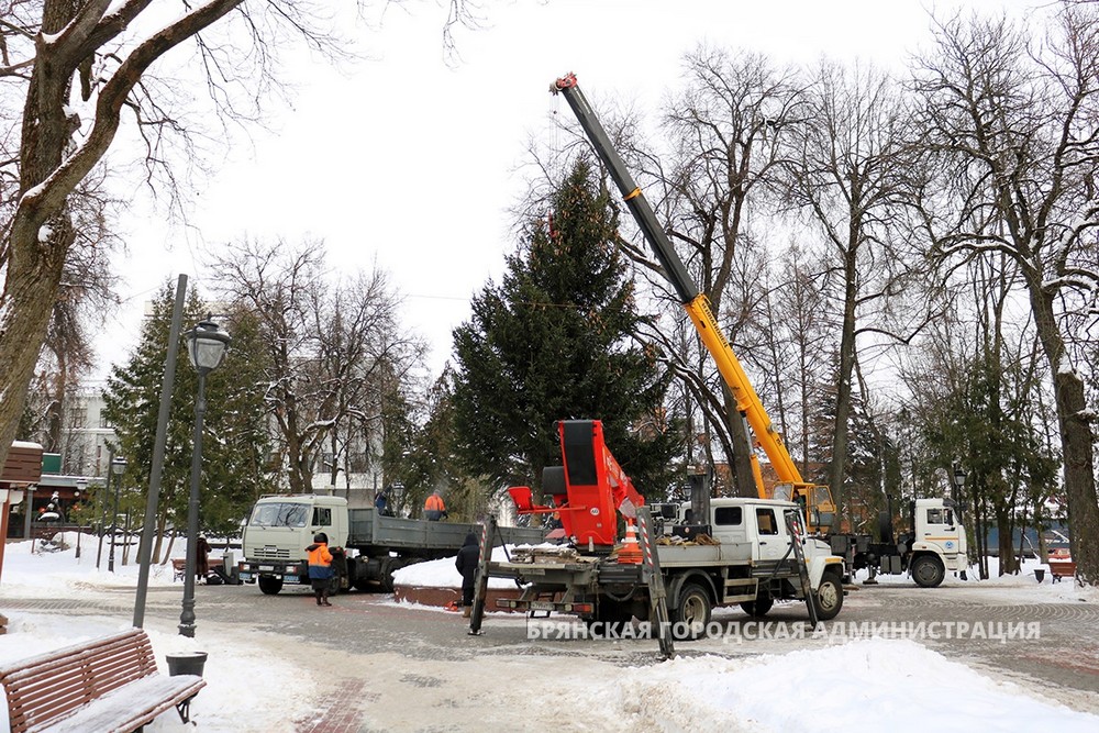 В Брянске установили 13-метровую главную городскую елку