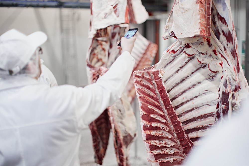 «Шеф-аудит» на брянском производстве «Мираторга»: рестораторы и шеф-повара лично следят за процессом производства мраморной говядины
