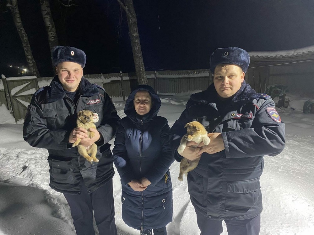 Брянские полицейские спасли двух брошенных на морозе щенков
