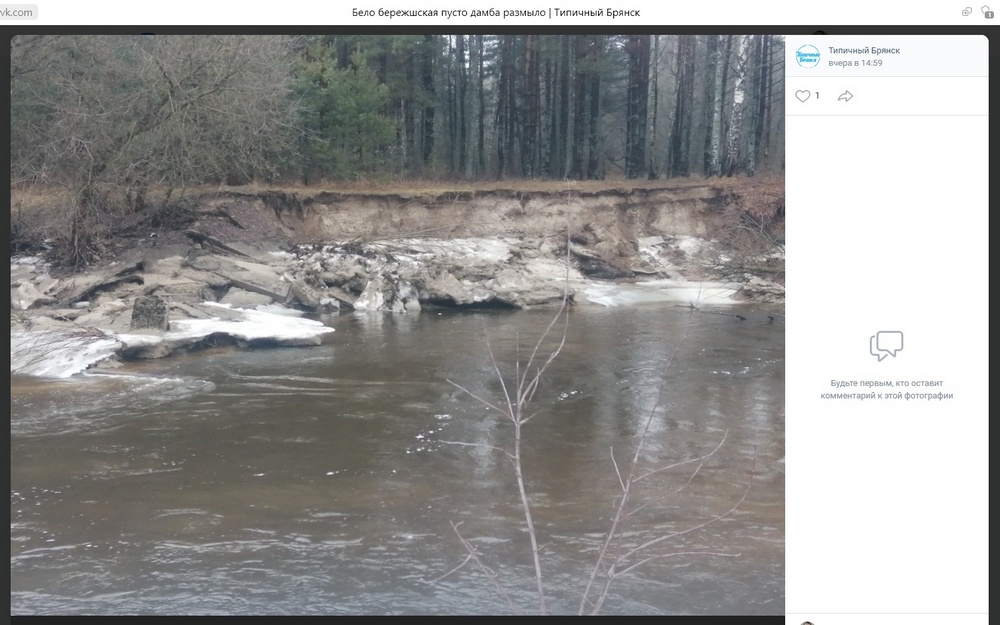 Разлившаяся река Снежеть снесла плотину возле Белобережского санатория под Брянском