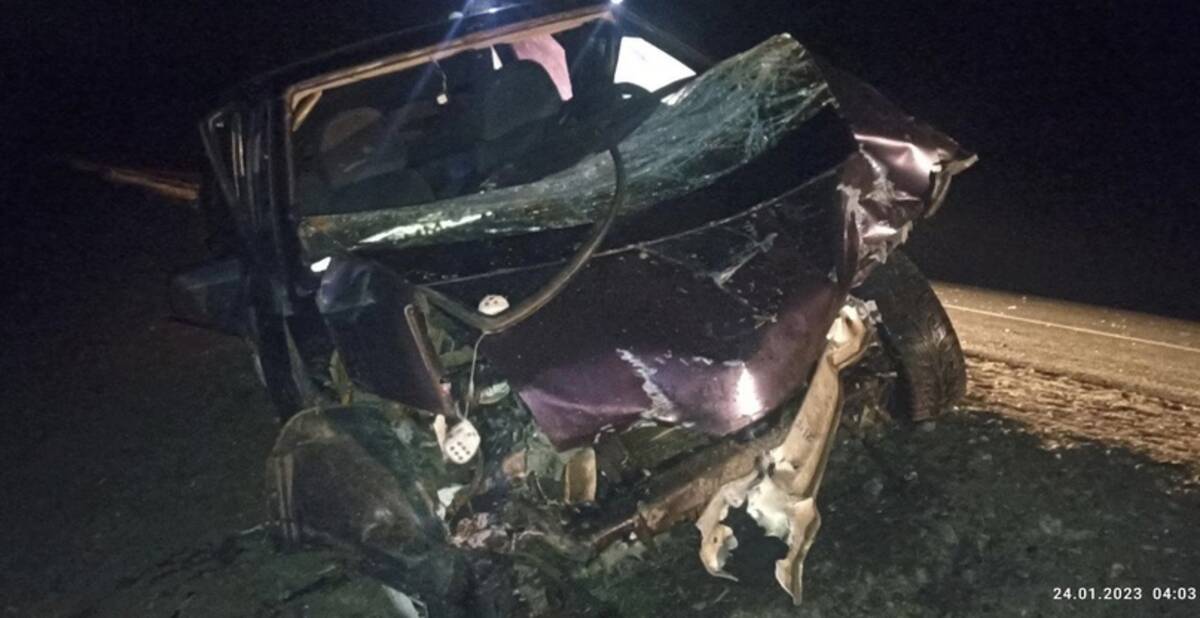 На Брянщине в Дубровском районе пьяный водитель на ВАЗе сбил дикое животное
