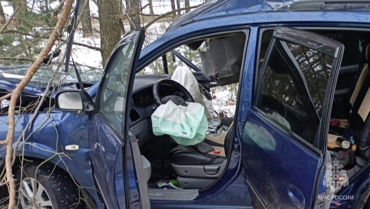 Из-за пьяного 22-летнего водителя на брянской трассе погибли два 50-летних пассажира