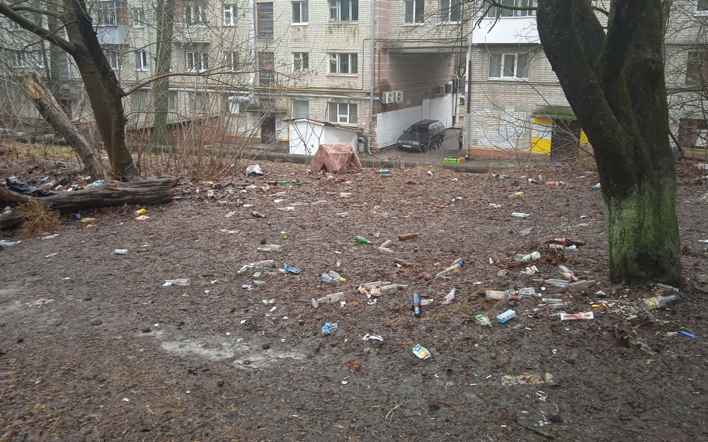Зеленый островок в центре Брянска утонул в мусоре
