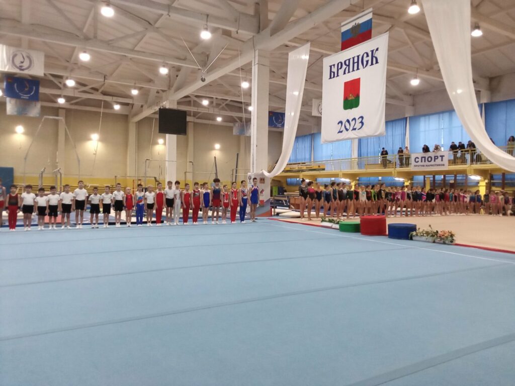 В Брянске начался чемпионат по спортивной гимнастике