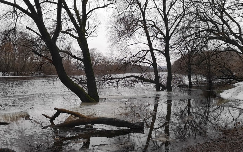 В Брянске уровень воды в Десне поднялся до максимума за последние 23 года