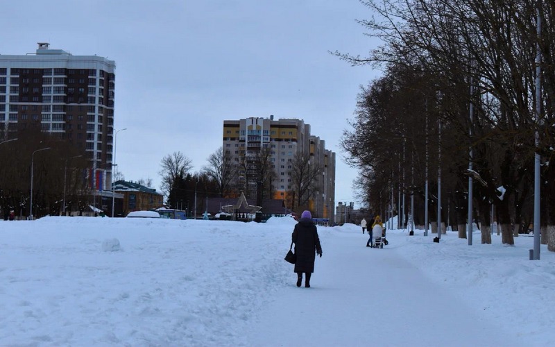На территории Брянской области метеорологи прогнозируют мягкий и снежный февраль