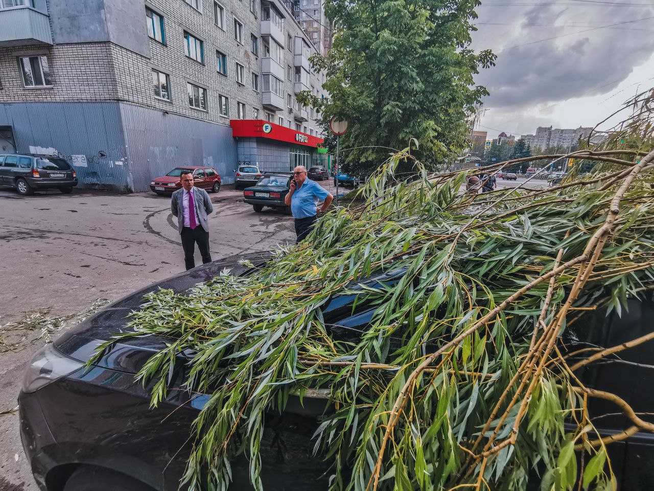 На место падения дерева на автомобиль в Брянске выехал глава Советского района
