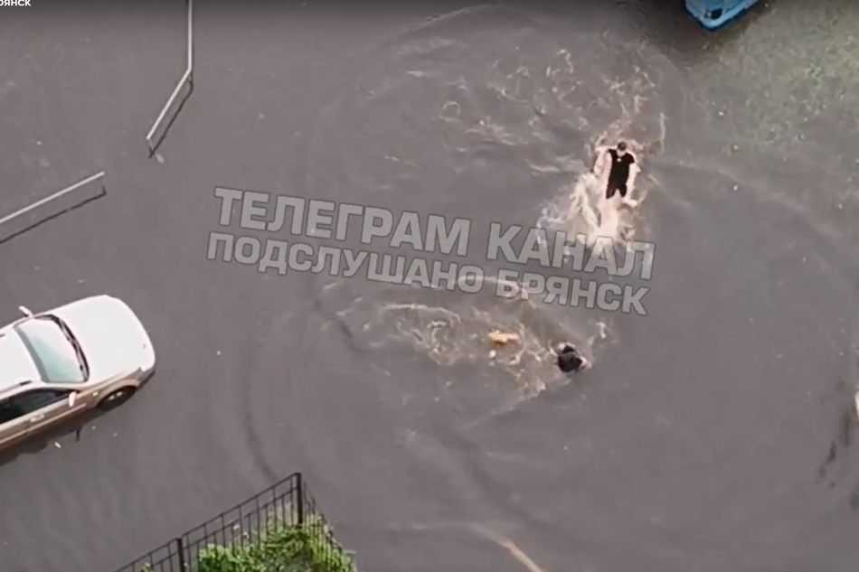 Жители Брянска устроили заплыв по улицам города