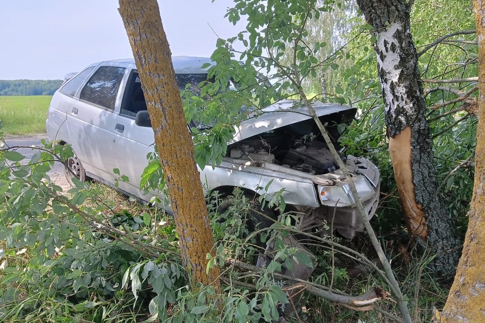 Уснувший за рулем ВАЗа подросток врезался в дерево под Погаром