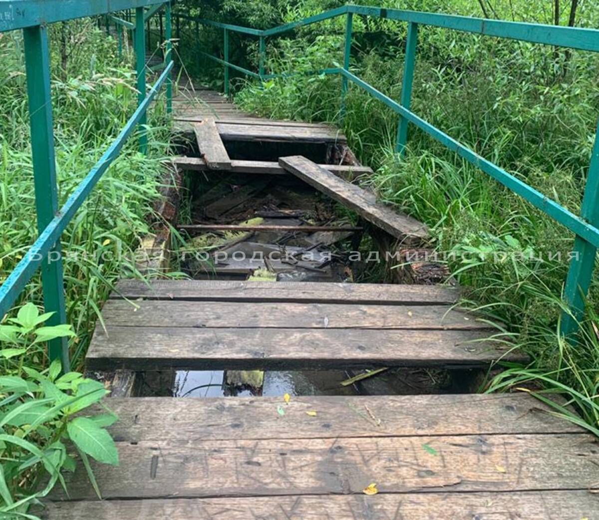В Брянске будет отремонтирована разбитая лестница в овраге Нижний Судок