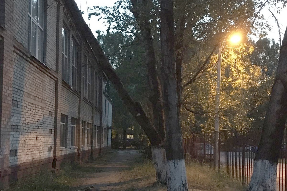 В Брянске на здание школы №51 обрушилось дерево