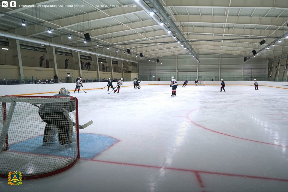 Команды брянского правительства и хоккейного клуба «Меленск» выяснили отношения на льду