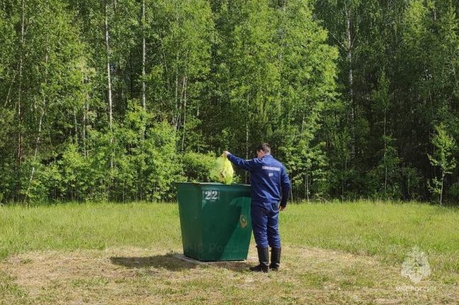 92 километра береговой линии в Брянской области «освободили» от мусора