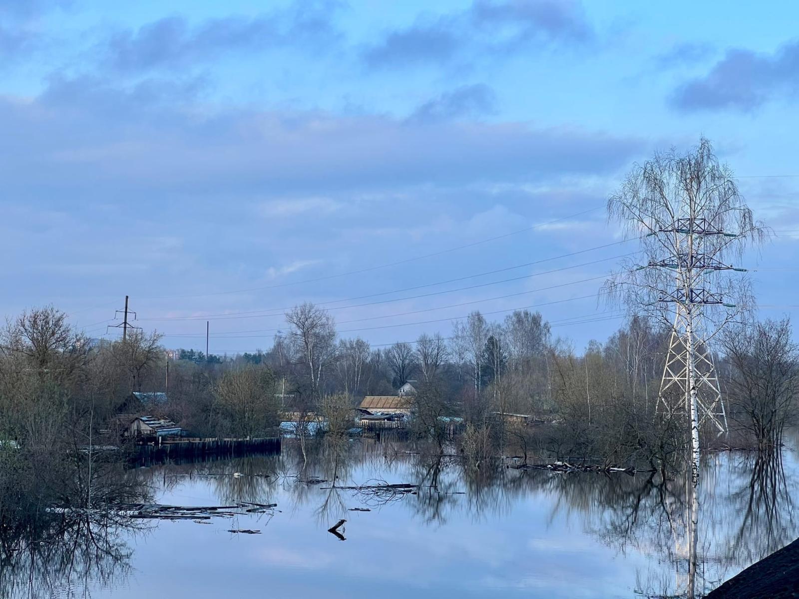 На территории Брянской области к 31 марта из-за весеннего половодья затопило 644 дома и пять дорог