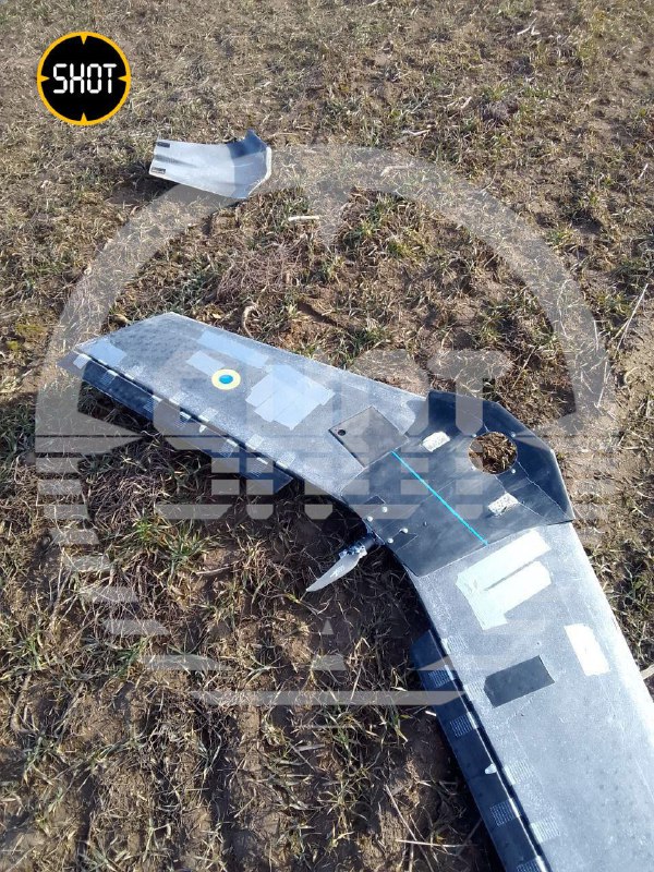 На государственной границе со стороны Брянской области пограничник сбил из автомата украинский дрон «Валькирия»
