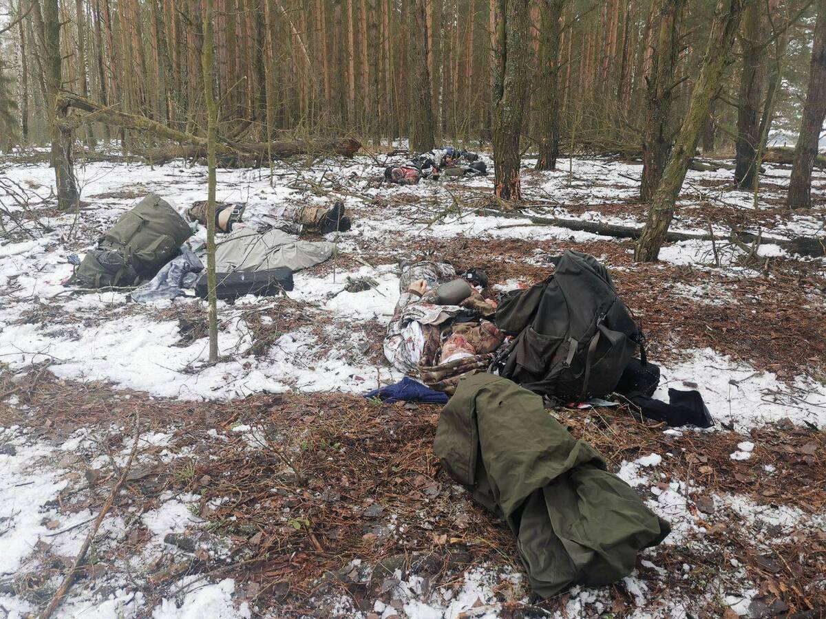 Тела убитых на границе Брянской области украинских диверсантов передали Киеву