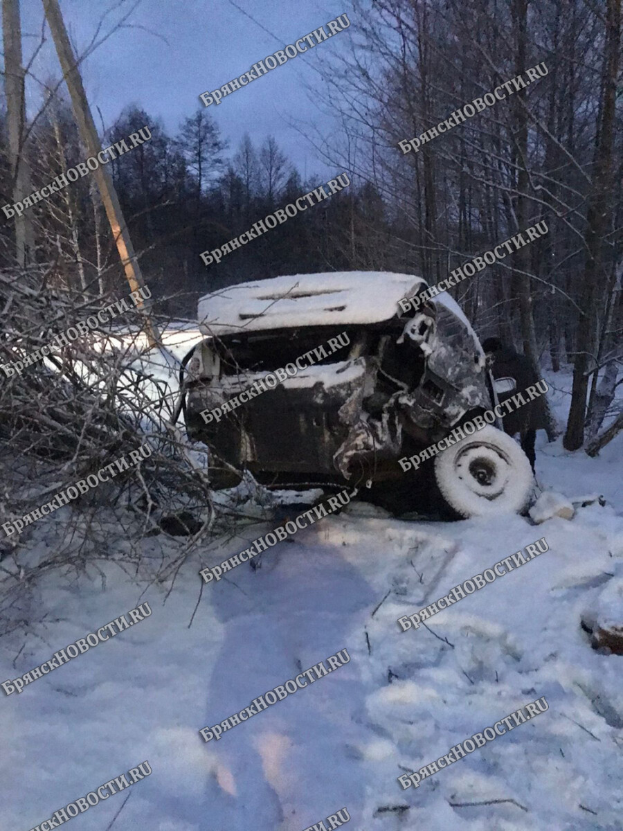 В брянском Климове водитель не удержал свой автомобиль и вылетел с дороги