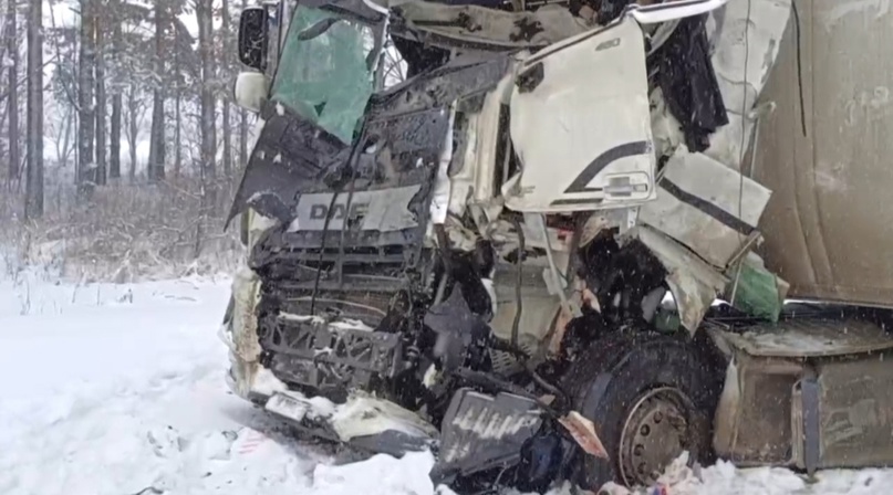 В жутком ДТП под Жуковкой погибли 62-летний водитель и 59-летняя пассажирка автобуса