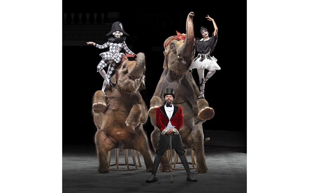 Шоу слонов «Девочка и слон» в Брянском цирке!