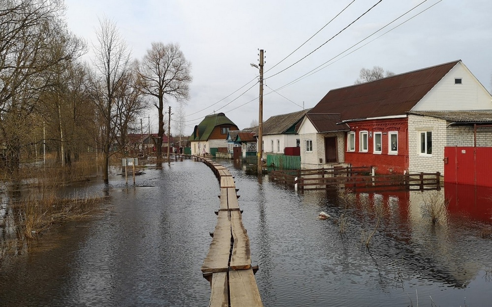 В Брянской области скрылись под водой 13 приусадебных участков и автодорога