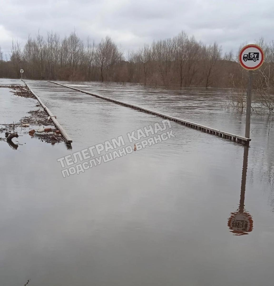 Сельцовский мост в Брянской области затопило из-за паводка