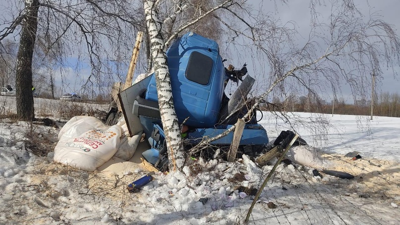 В Почепском районе 44-летний водитель грузовика угодил в кювет и врезался в дерево