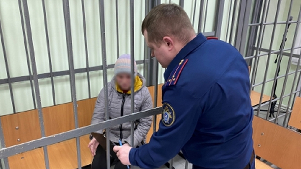 В Брянске осудят 28-летнюю женщину, задушившую свою новорожденную дочь