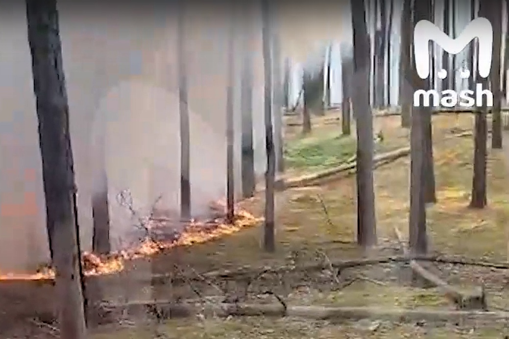 Mash публикует кадры лесного пожара, возникшего после обстрела Климовского района