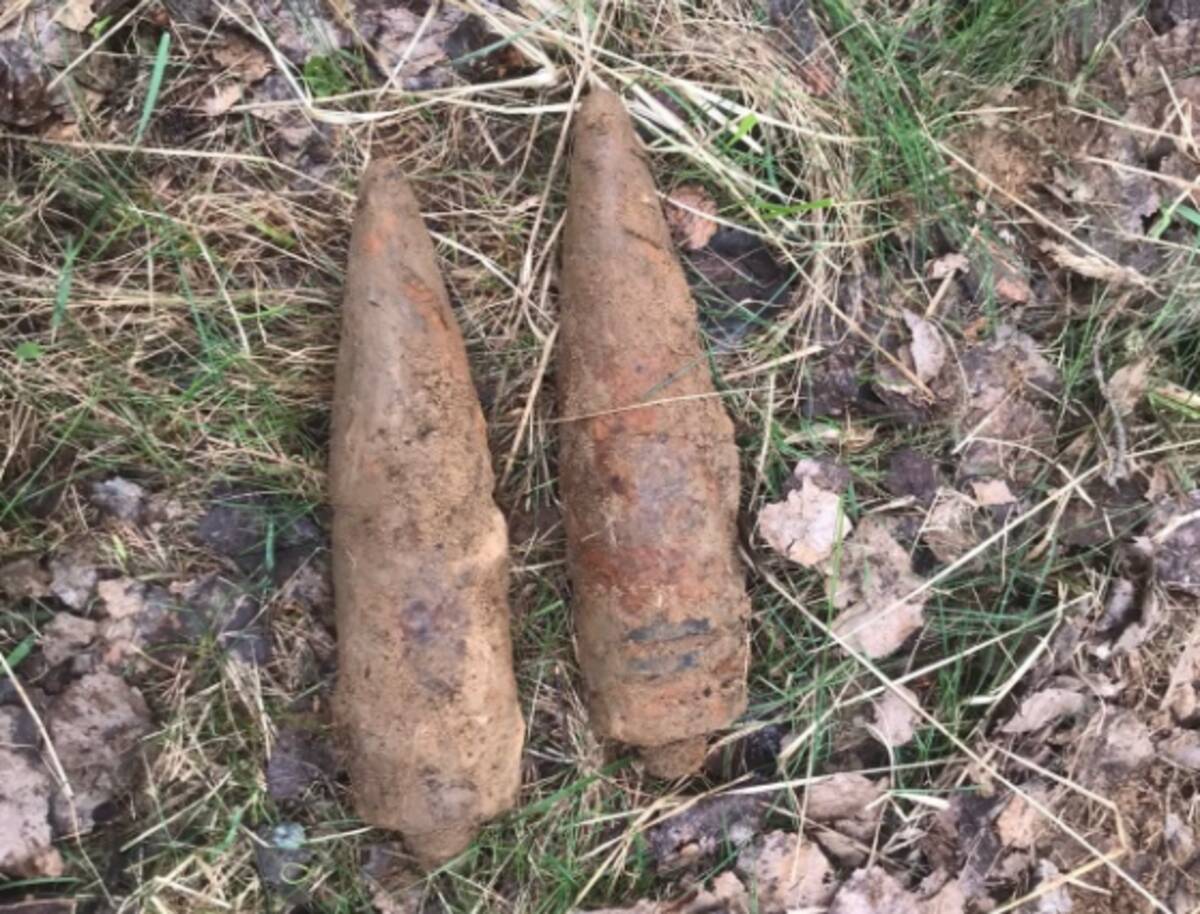 В Дубровском районе Брянщины обнаружили 2 артиллерийских снаряда времен ВОВ