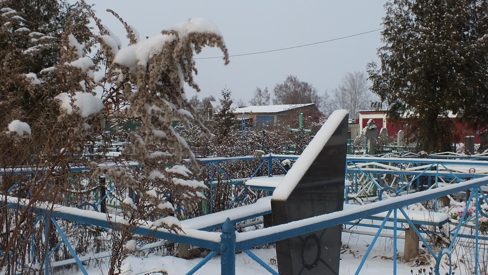 В Брянске принимают меры по удалению аварийных деревьев на кладбищах